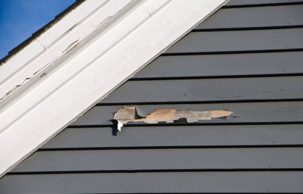 Best Siding Removal and Disposal  in Collierville, TN